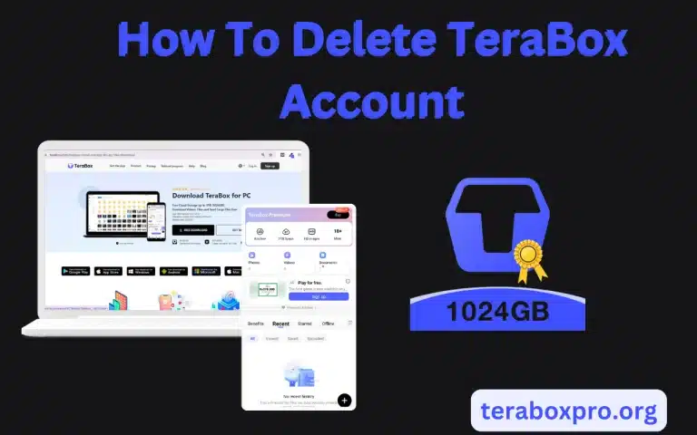 How To Delete Terabox Account