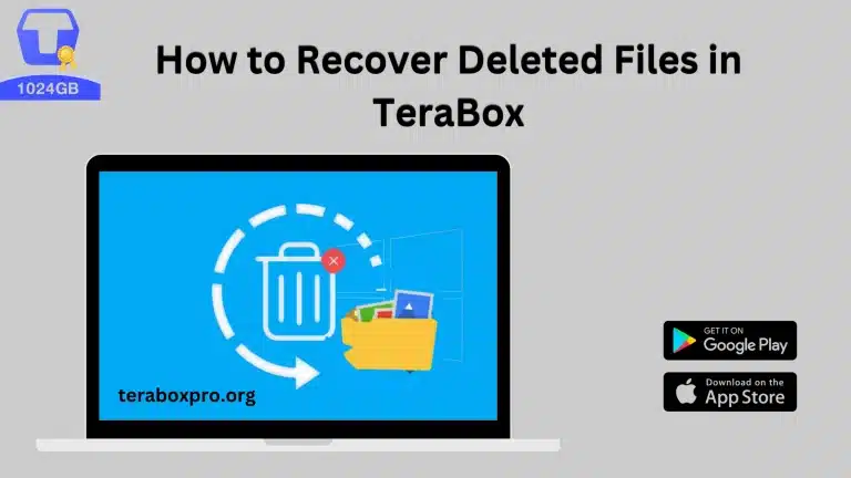 How to Recover Deleted Files in TeraBox