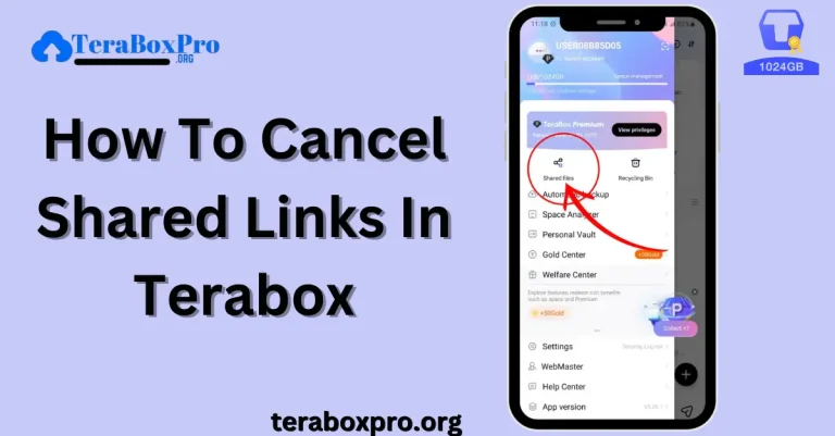 How To Cancel Shared Links In Terabox